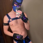Pup Taz