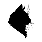 blacckcat406