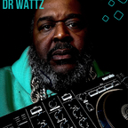 DJ Dr Wattz
