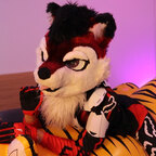 Arco Husky