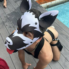 Pup Logan