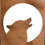 Bigbabewolf